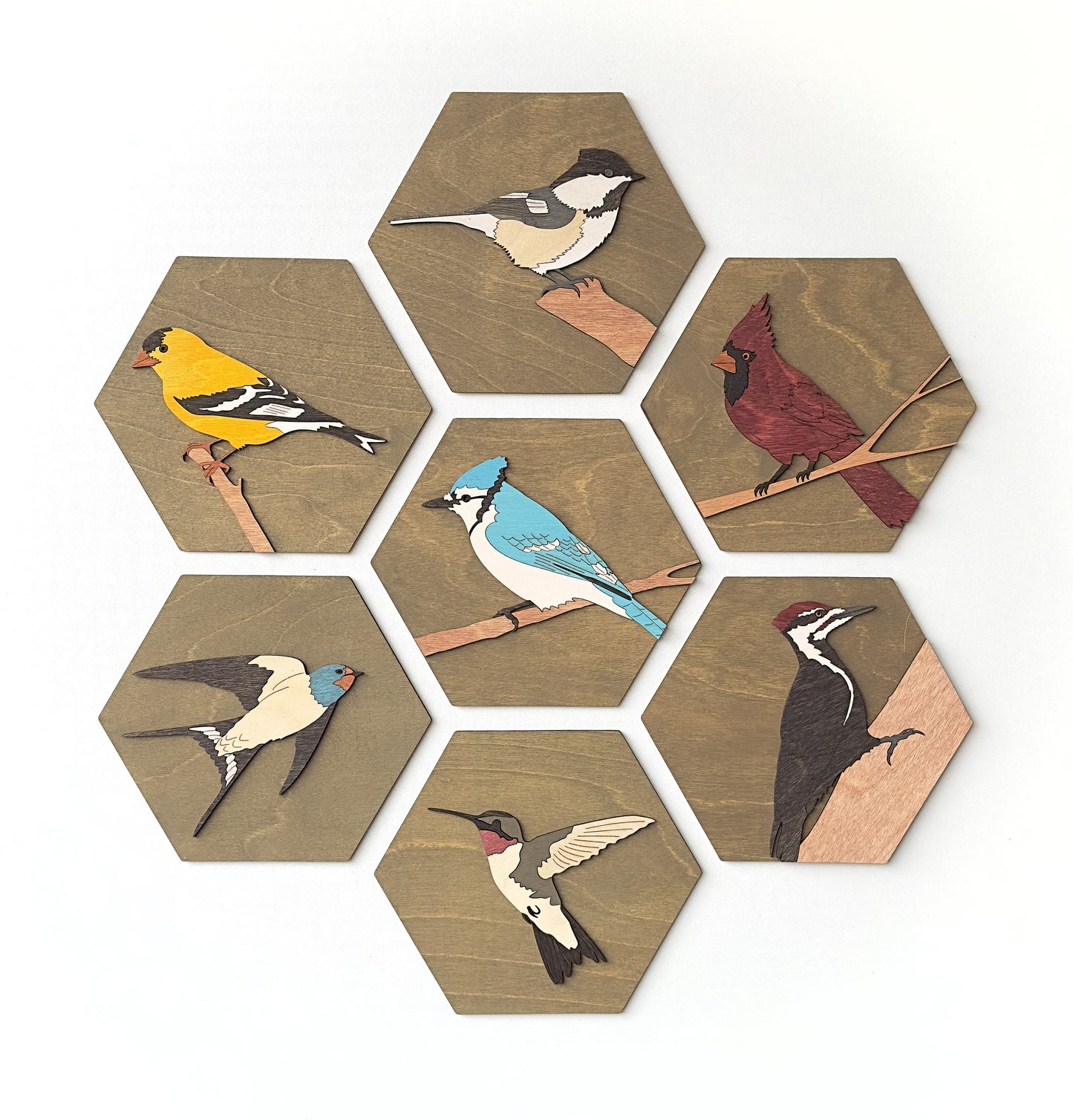 Black-capped Chickadee Wall Art