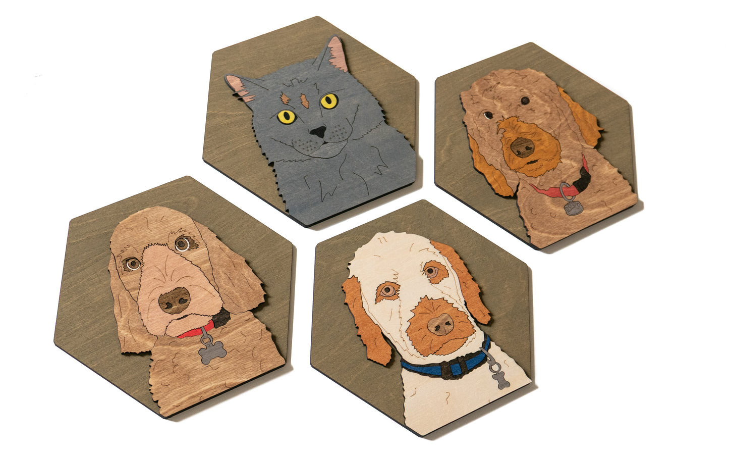 Pet Portrait - Small Hexagon