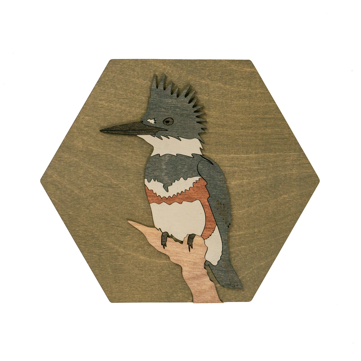 Belted Kingfisher Wall Art