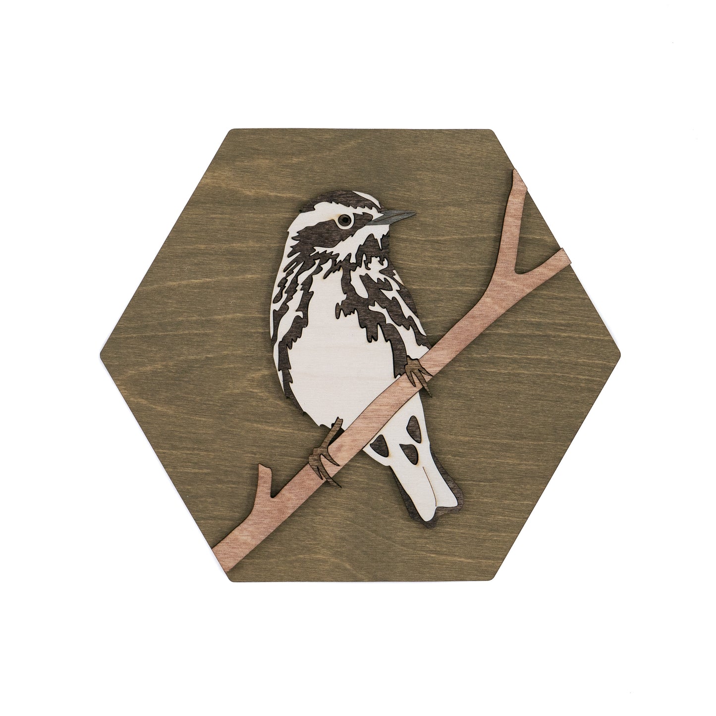 Black & White Warbler Wall Art