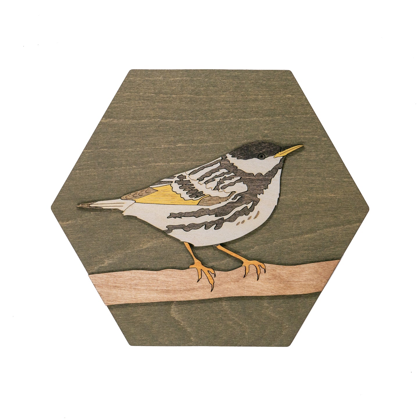 Blackpoll Warbler Wall Art