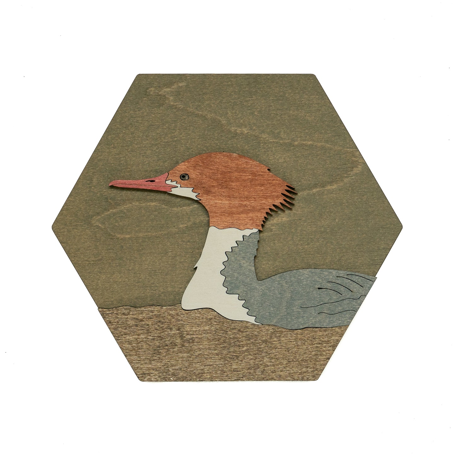 Common Merganser Wall Art