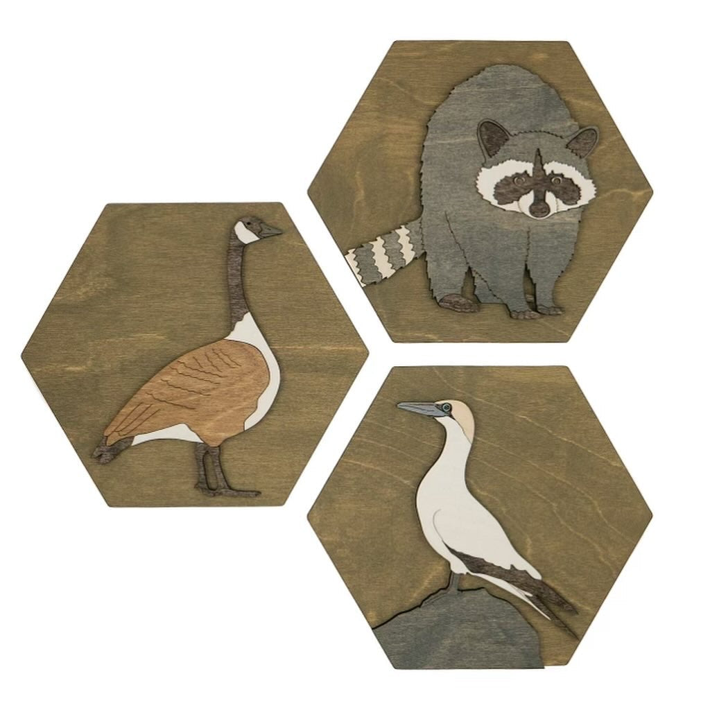 American Porcupine Wall Art