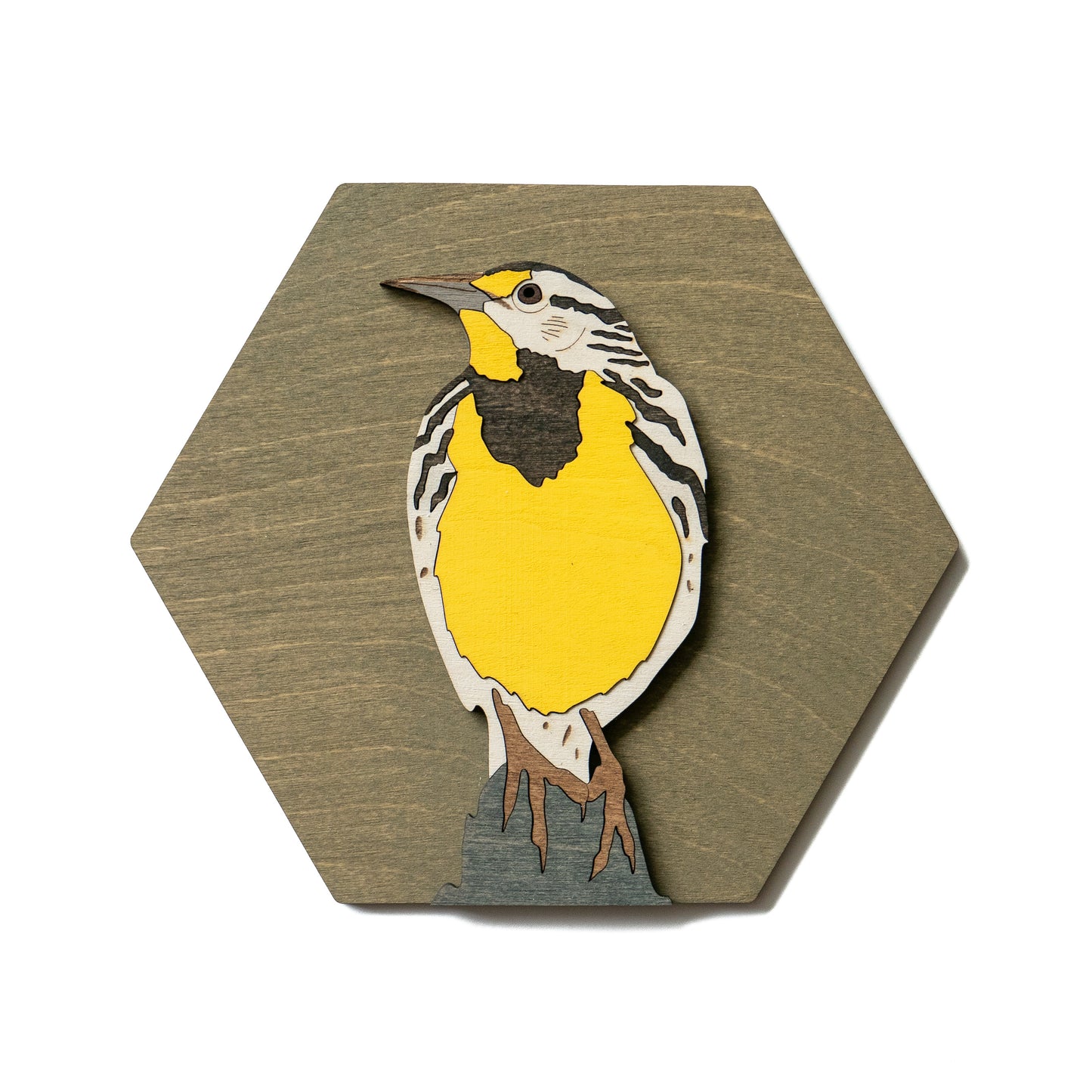 Eastern Meadowlark Wall Art