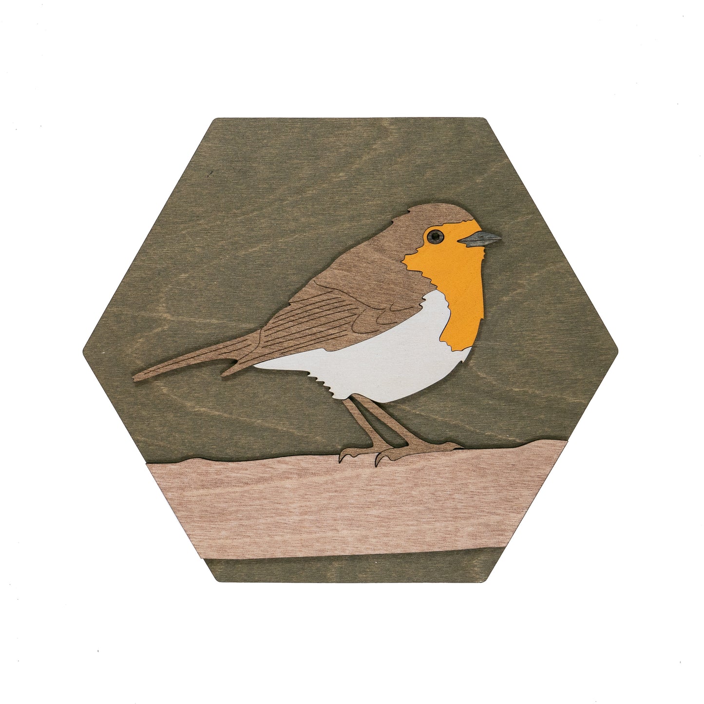 European Robin Wall Art