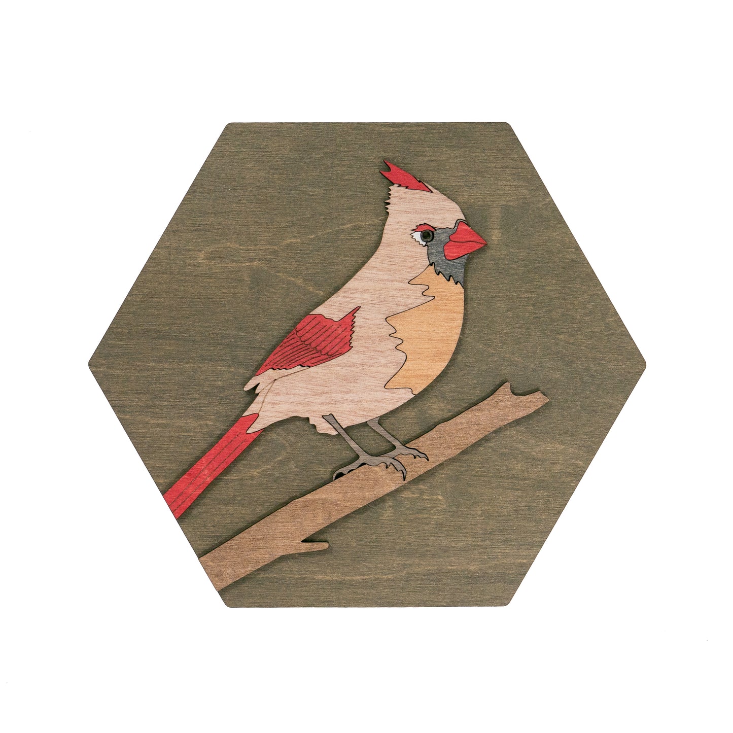 Northern Cardinal (female) Wall Art