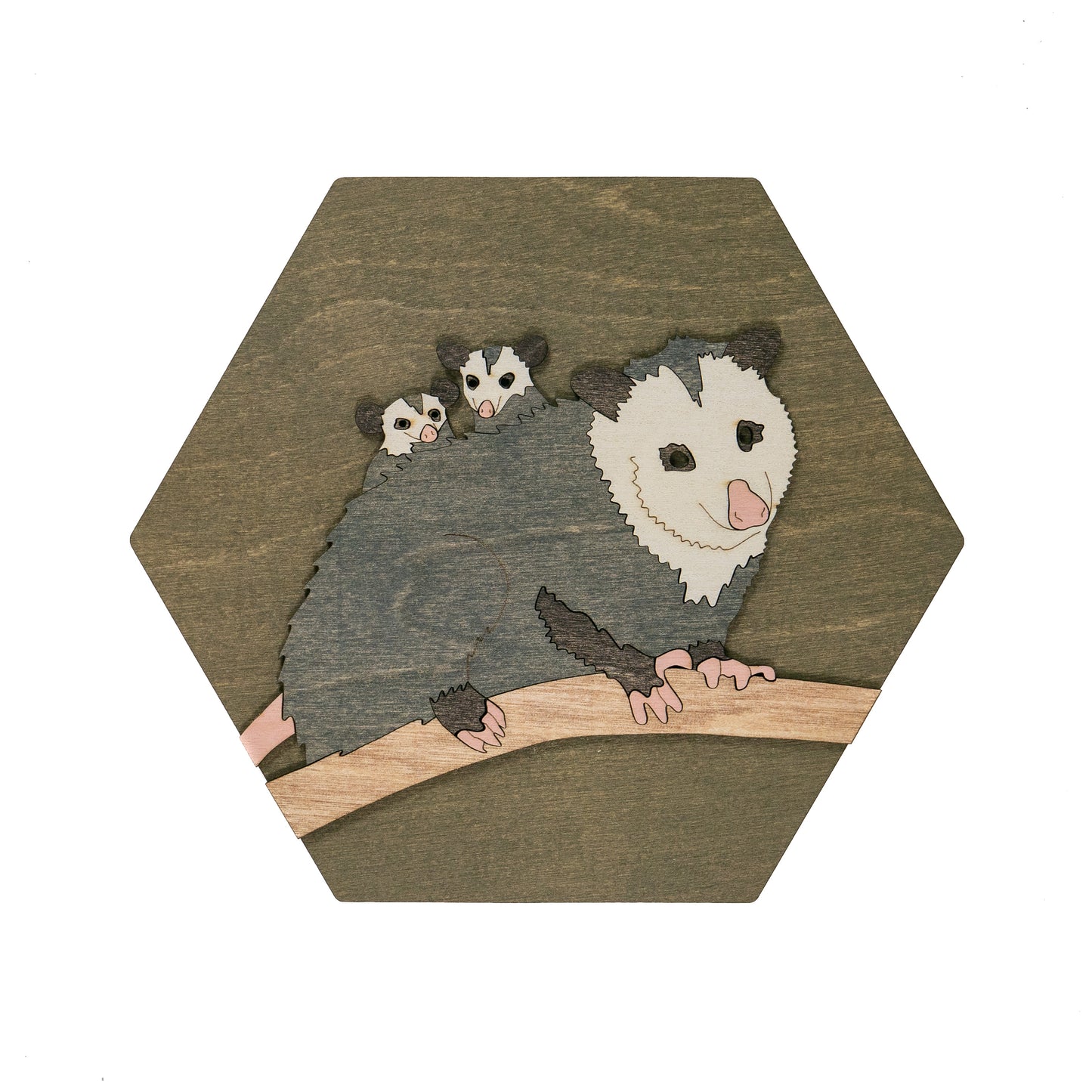 Opossum Wall Art