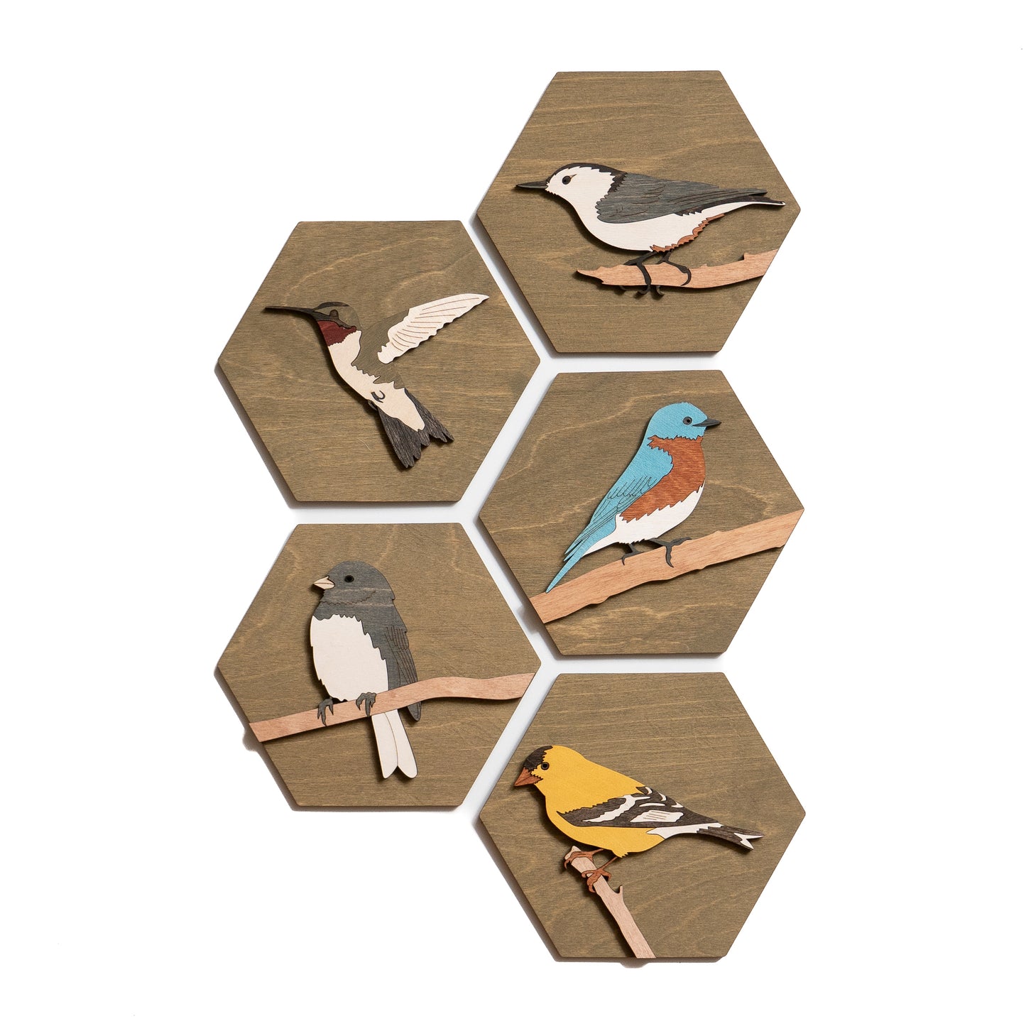 Dark-eyed Junco Wall Art