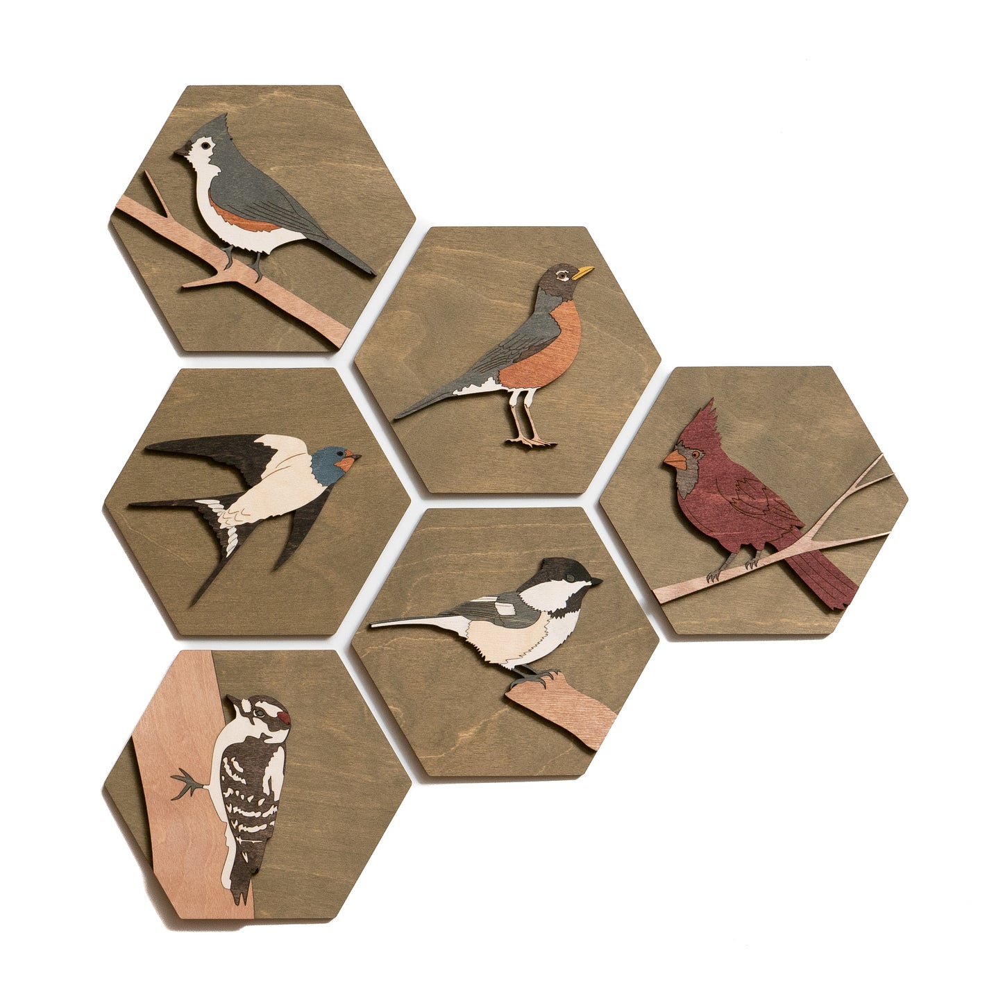 Downy Woodpecker Wall Art