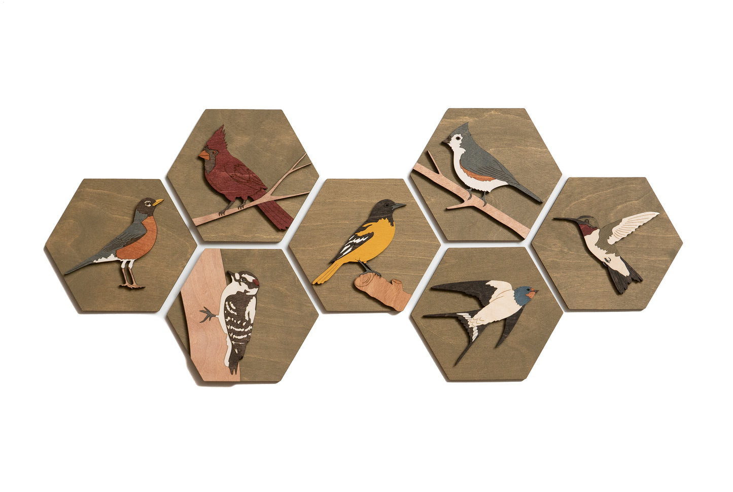 Baltimore Oriole Wall Art