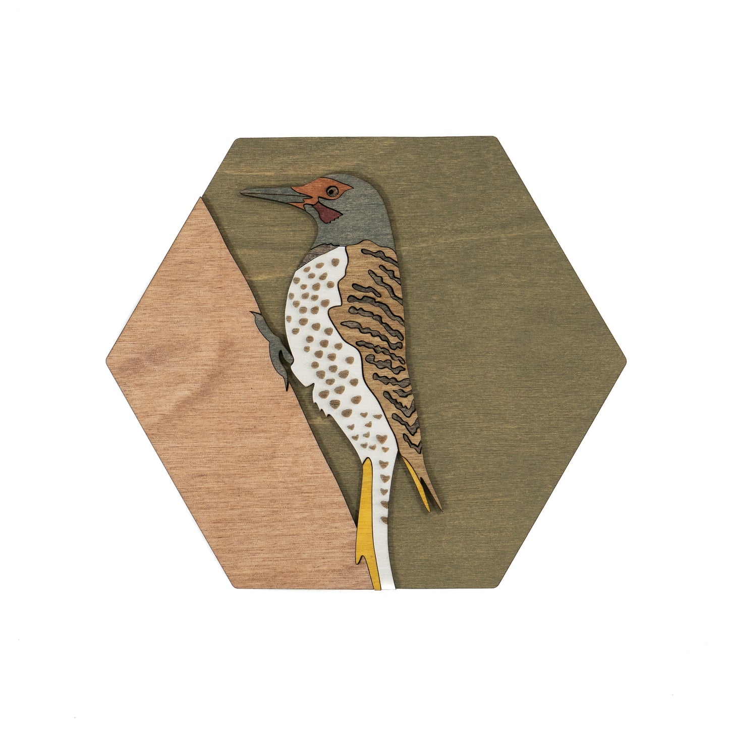Northern Flicker Wall Art