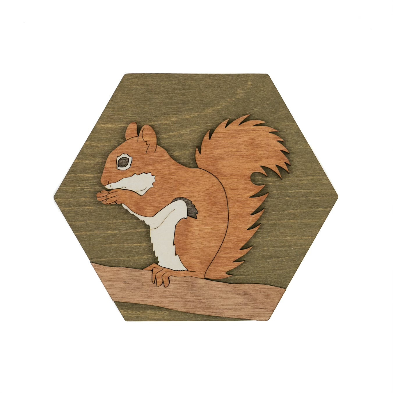 Squirrel Wall Art