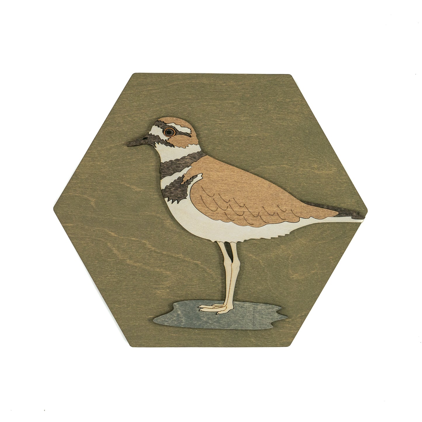 Killdeer Wall Art
