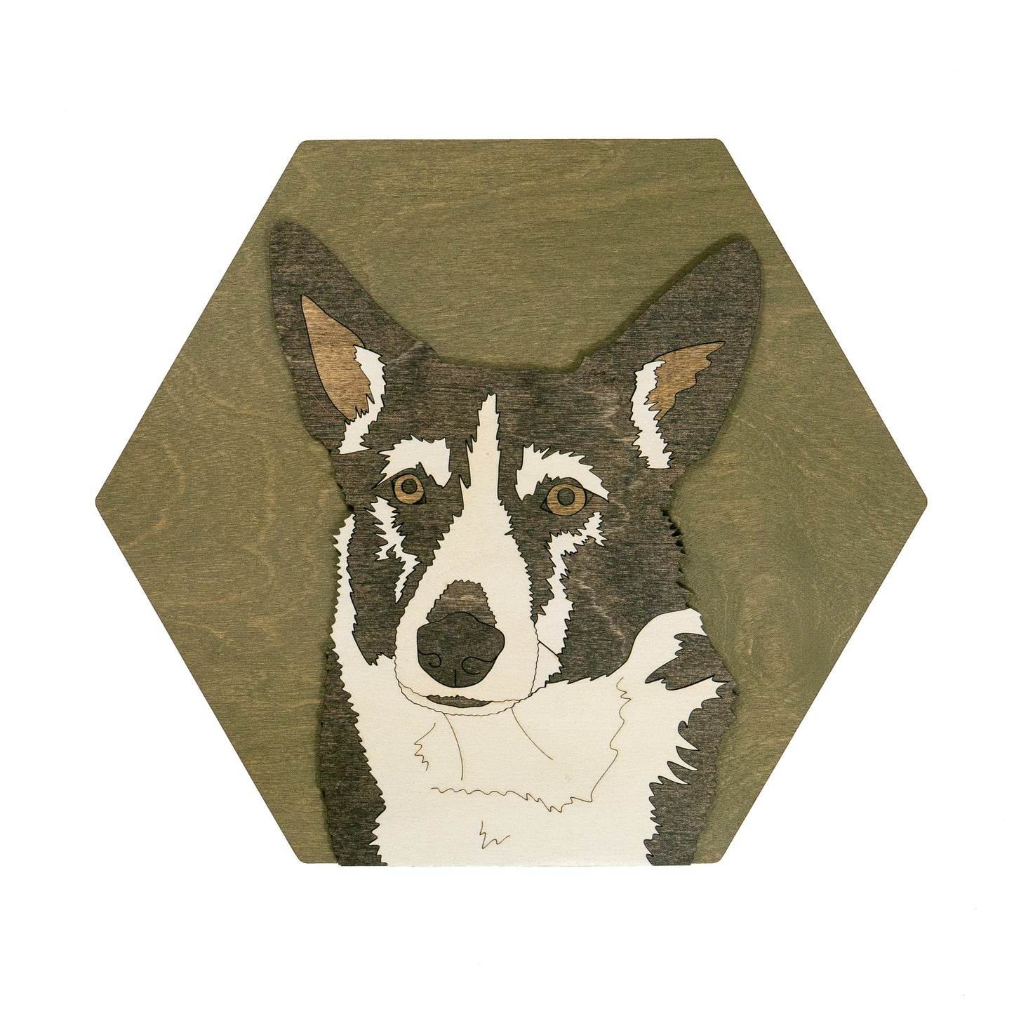Pet Portrait - Large Hexagon