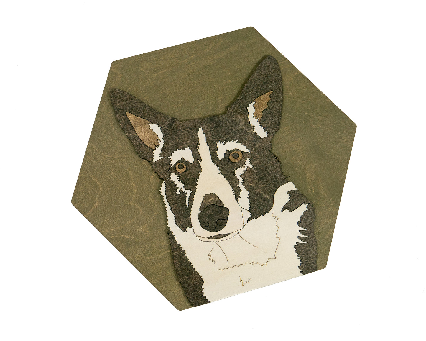 Pet Portrait - Large Hexagon