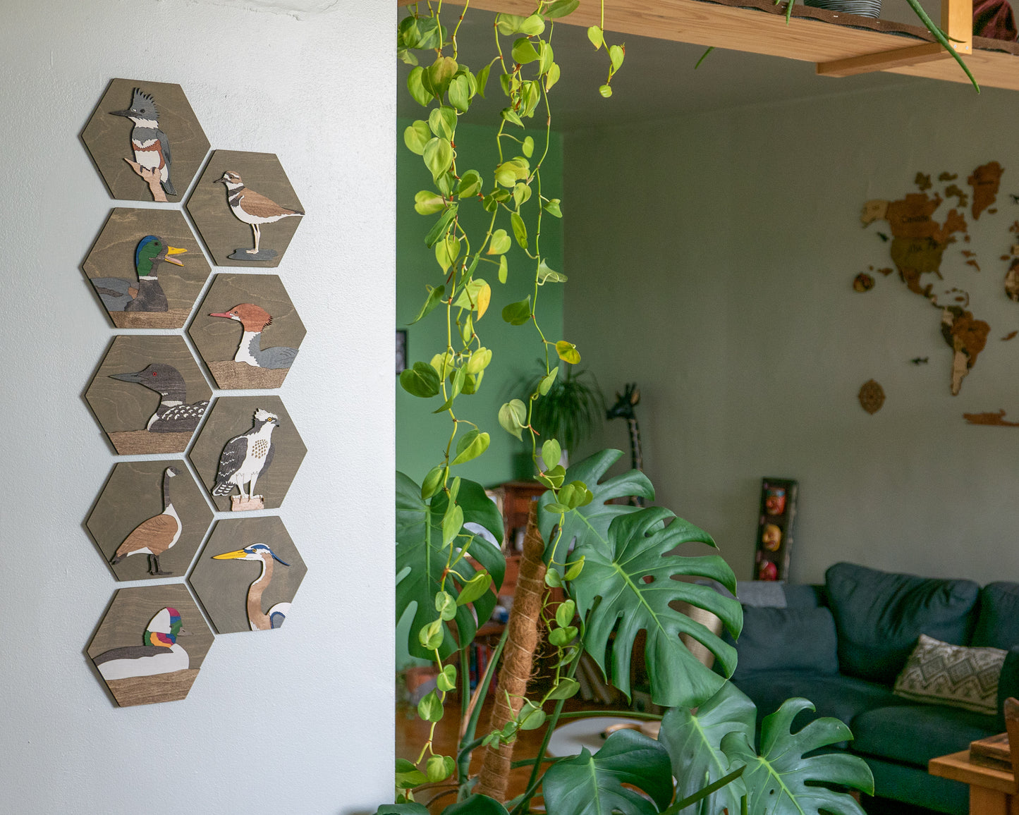 Steller's Jay Wall Art