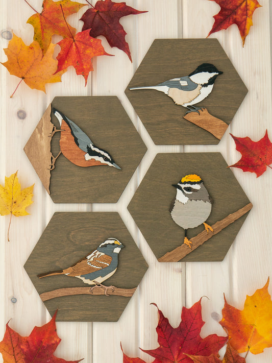Black-capped Chickadee Wall Art