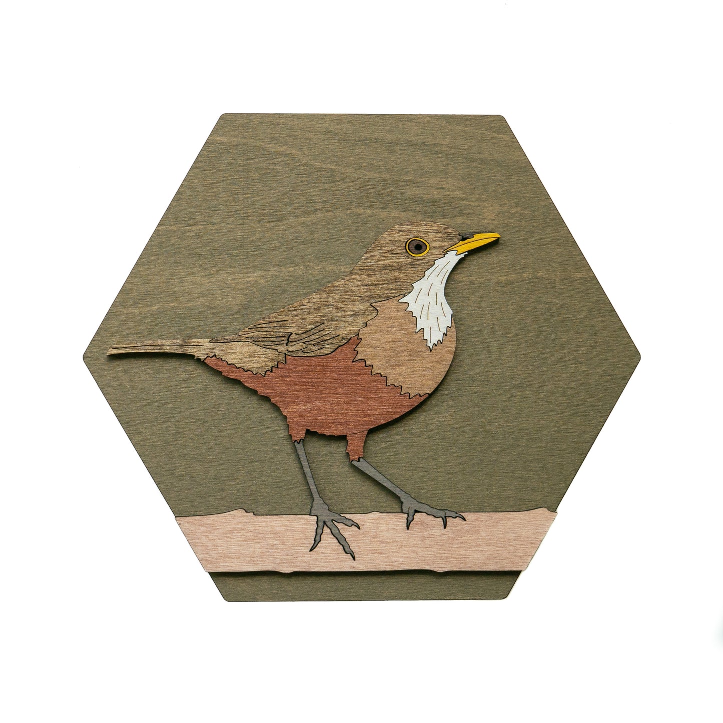 Rufous-bellied Thrush Wall Art