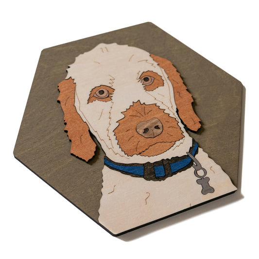Pet Portrait - Small Hexagon