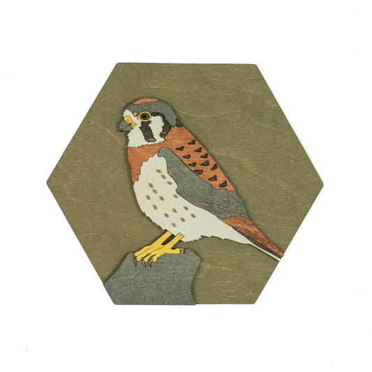 American Kestrel Wall Art