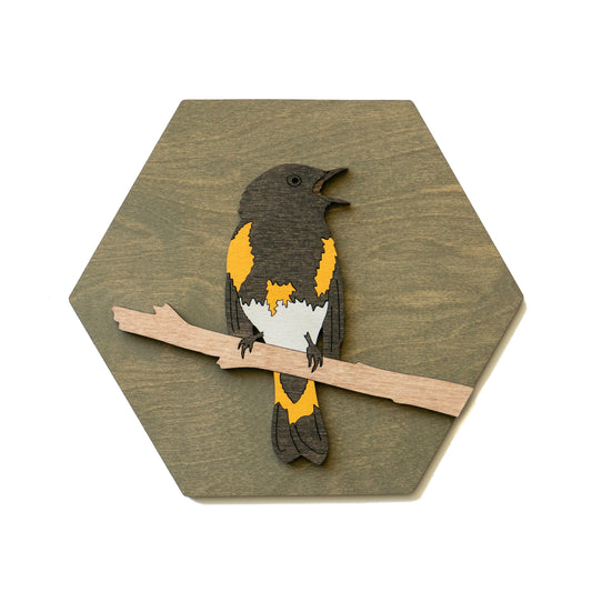 American Redstart Wall Art
