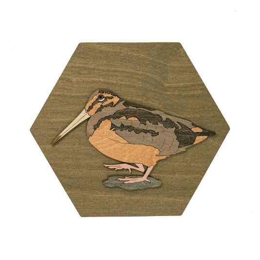 American Woodcock Wall Art