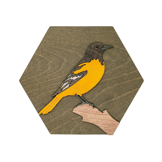 Baltimore Oriole Wall Art