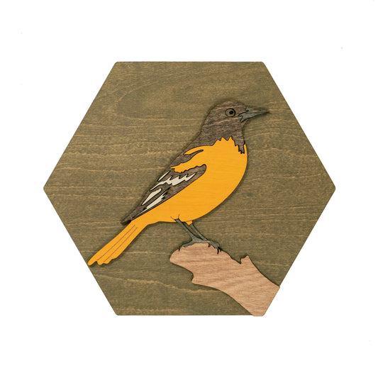 Baltimore Oriole Wall Art