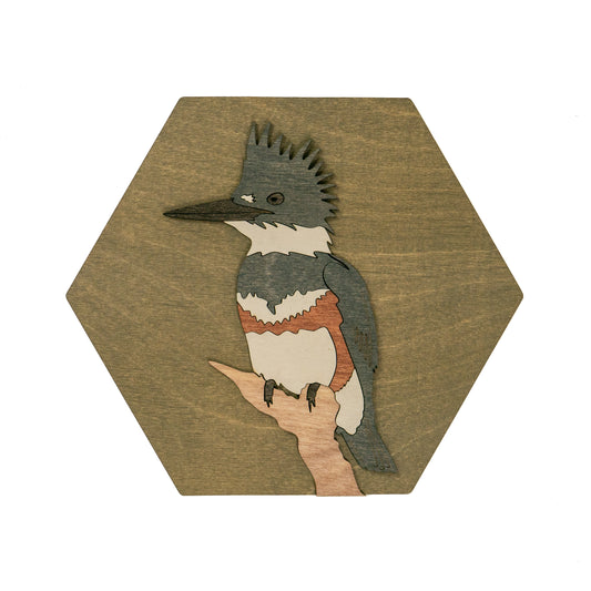 Belted Kingfisher Wall Art