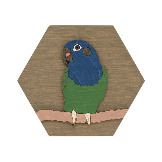 Blue-headed Parrot Wall Art
