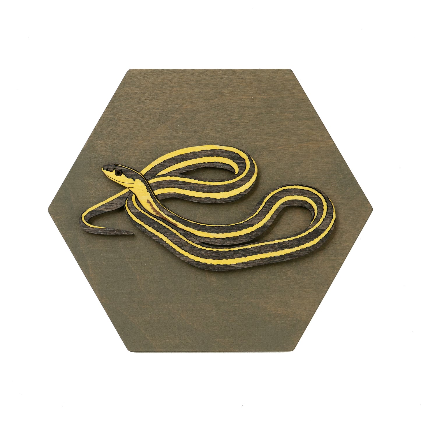 Butler's Gartersnake Wall Art