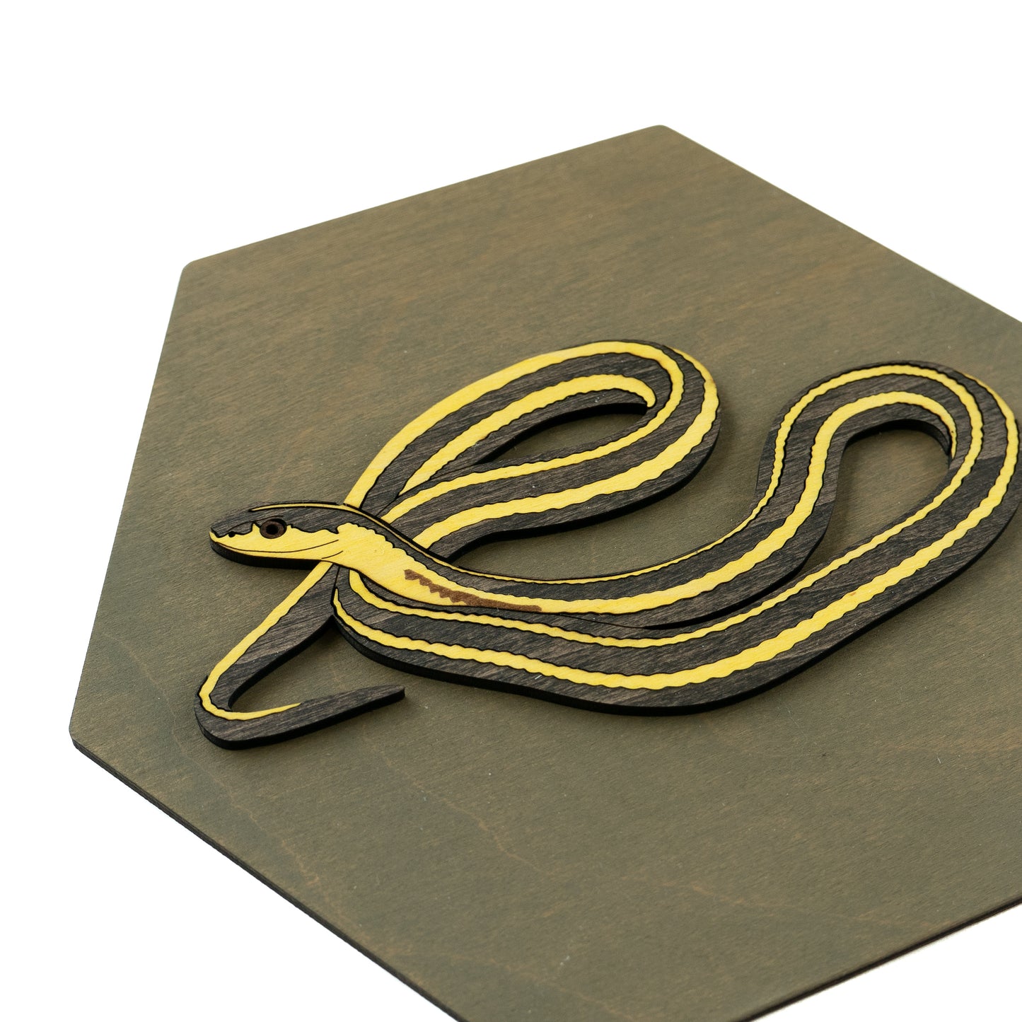 Butler's Gartersnake Wall Art