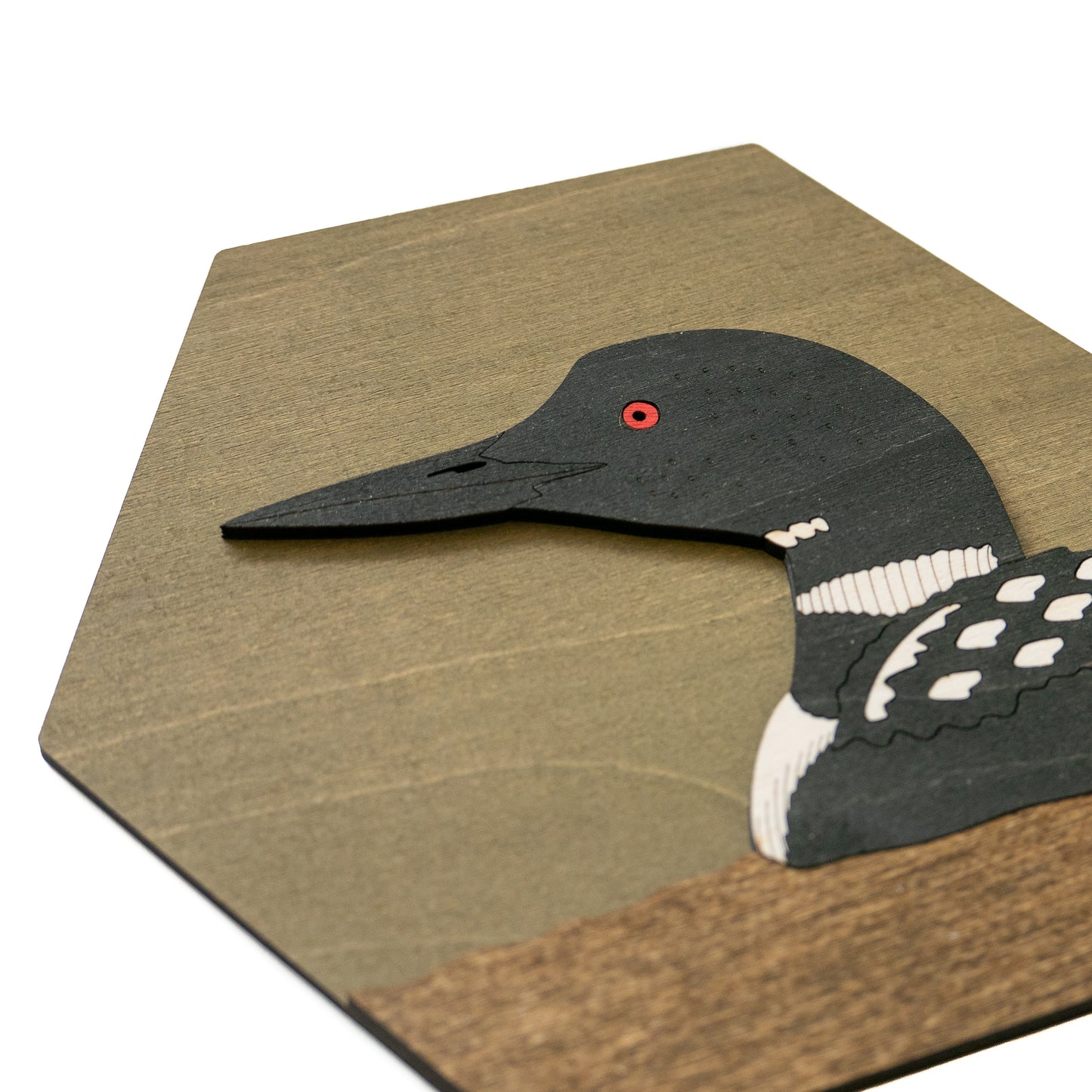 Common Loon Wall Art