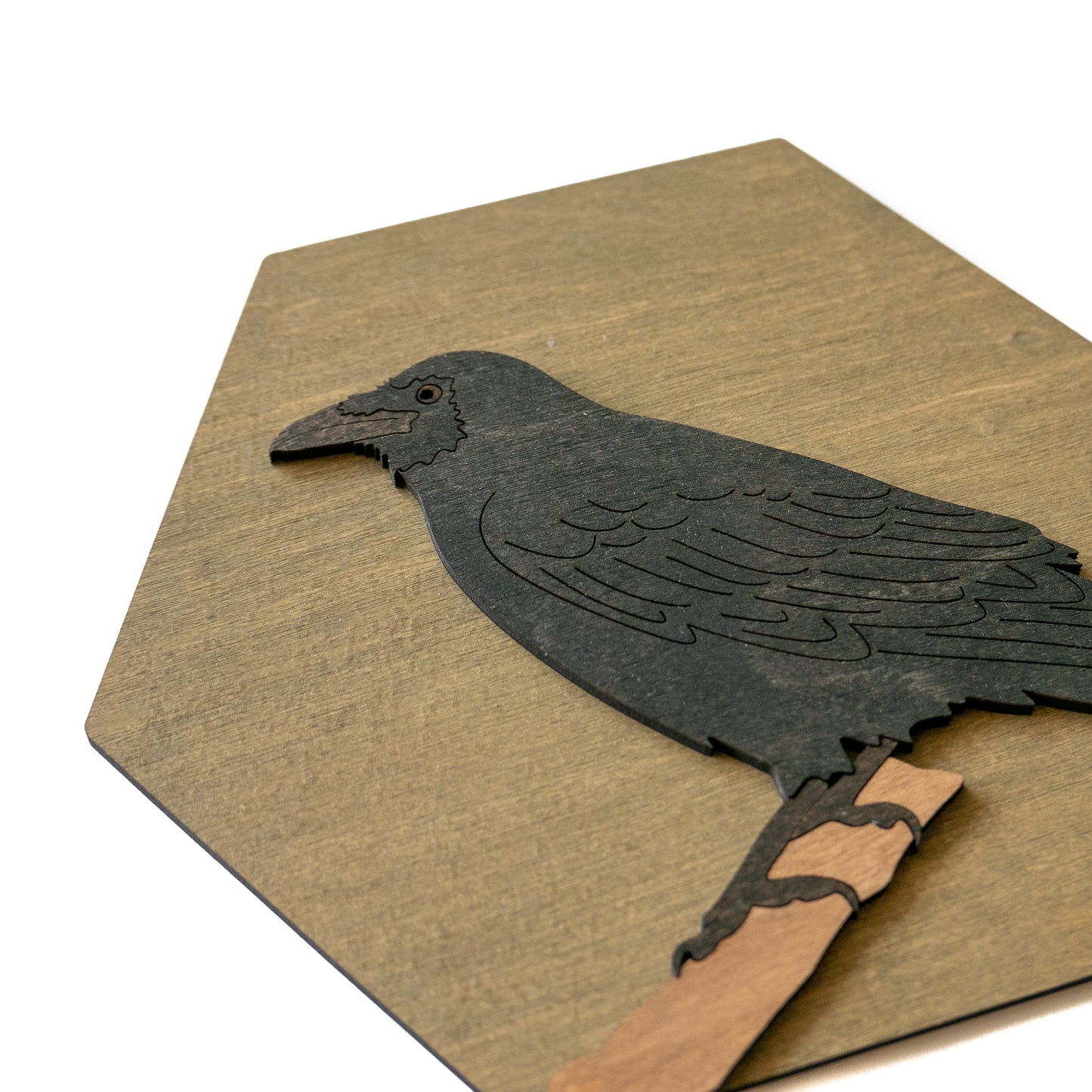 Common Raven Wall Art