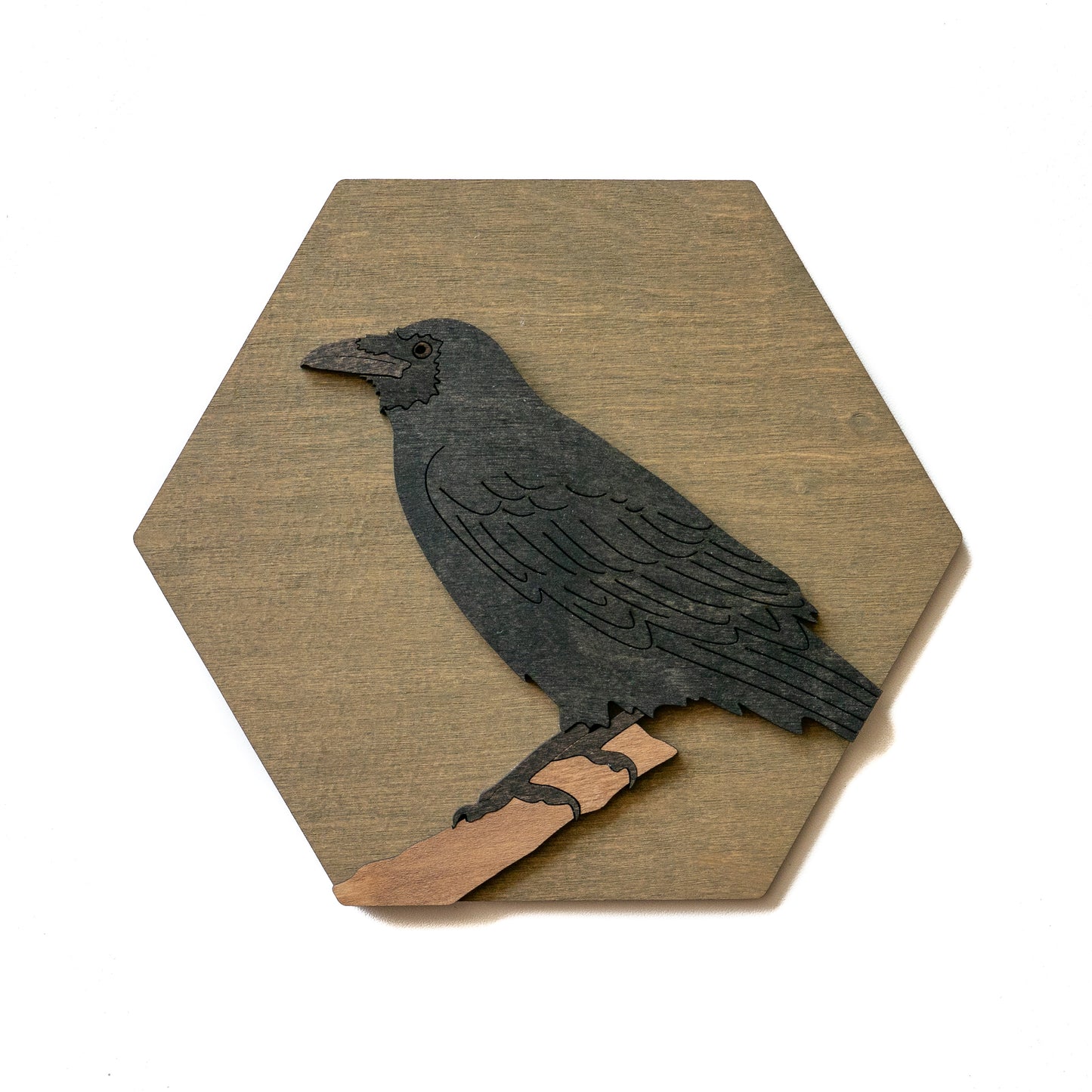 Common Raven Wall Art