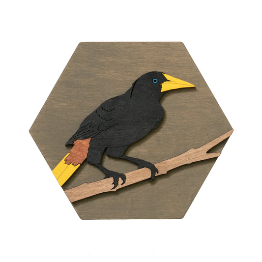 Crested Oropendola Wall Art