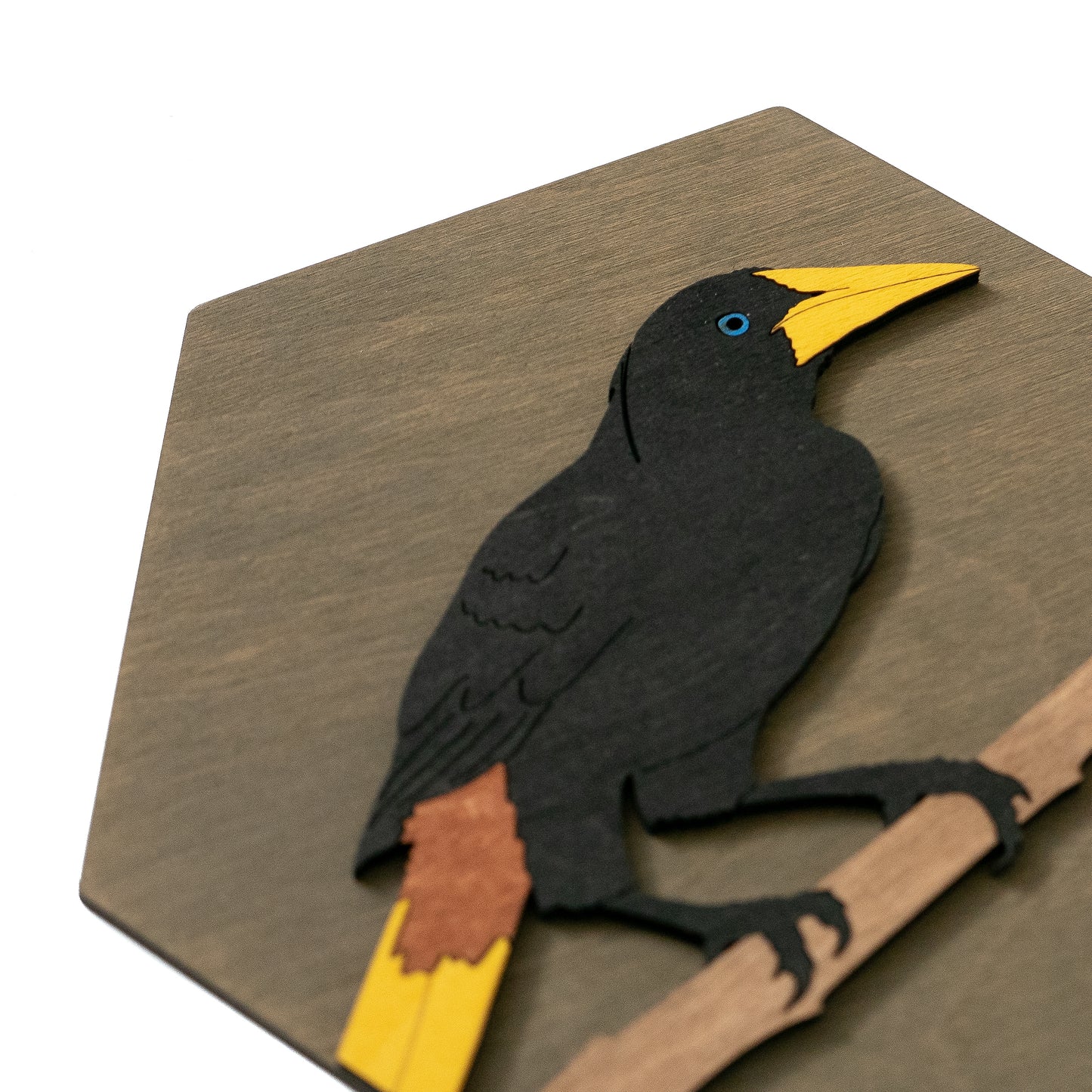 Décoration murale Oriole de Montezuma