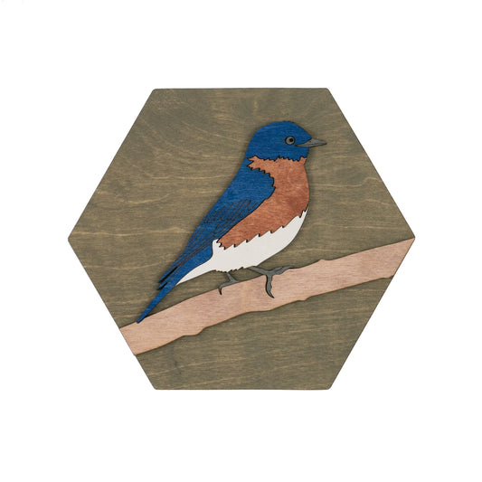 Eastern Bluebird Wall Art