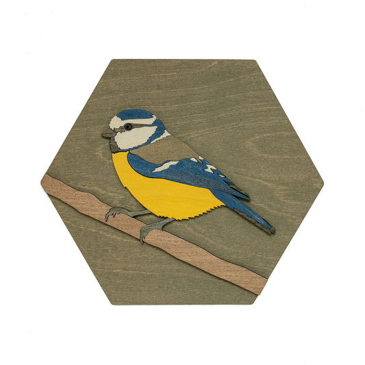 Eurasian Blue Tit Wall Art
