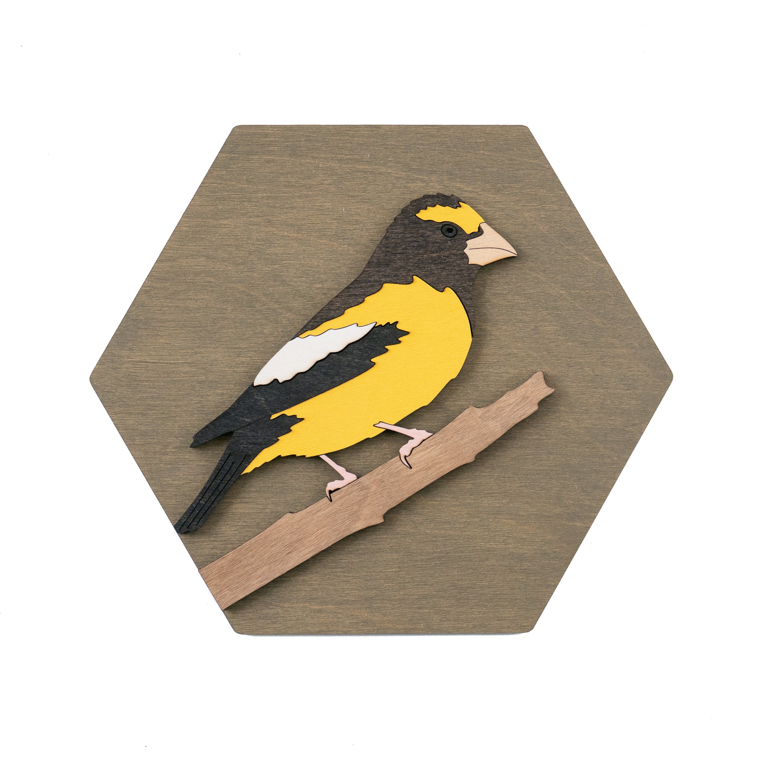 Evening Grosbeak Wall Art – Guelph Holzkünste