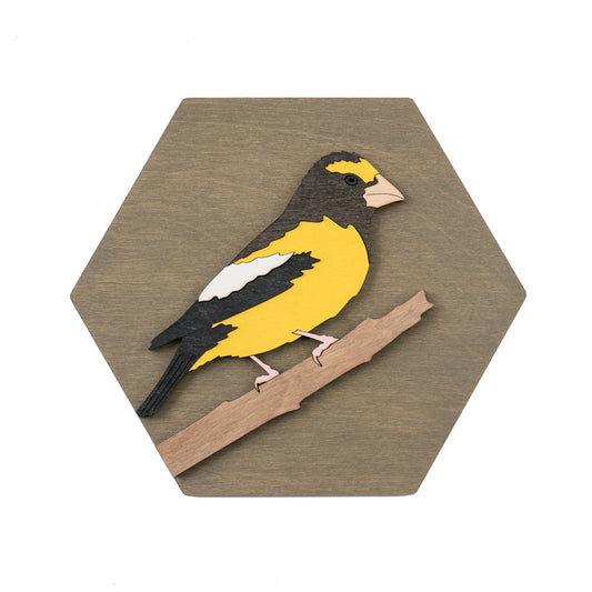 Evening Grosbeak Wall Art