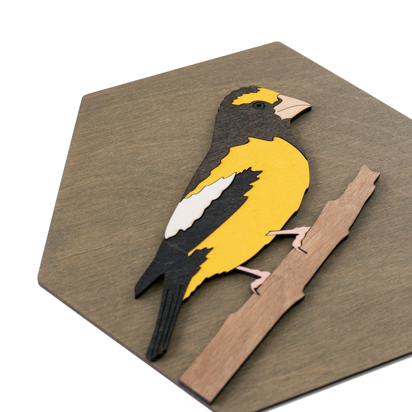 Evening Grosbeak Wall Art