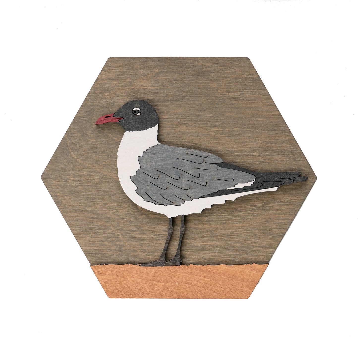 Franklin's Gull Wall Art
