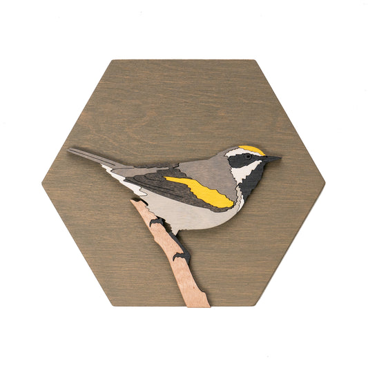 Golden-winged Warbler Wall Art
