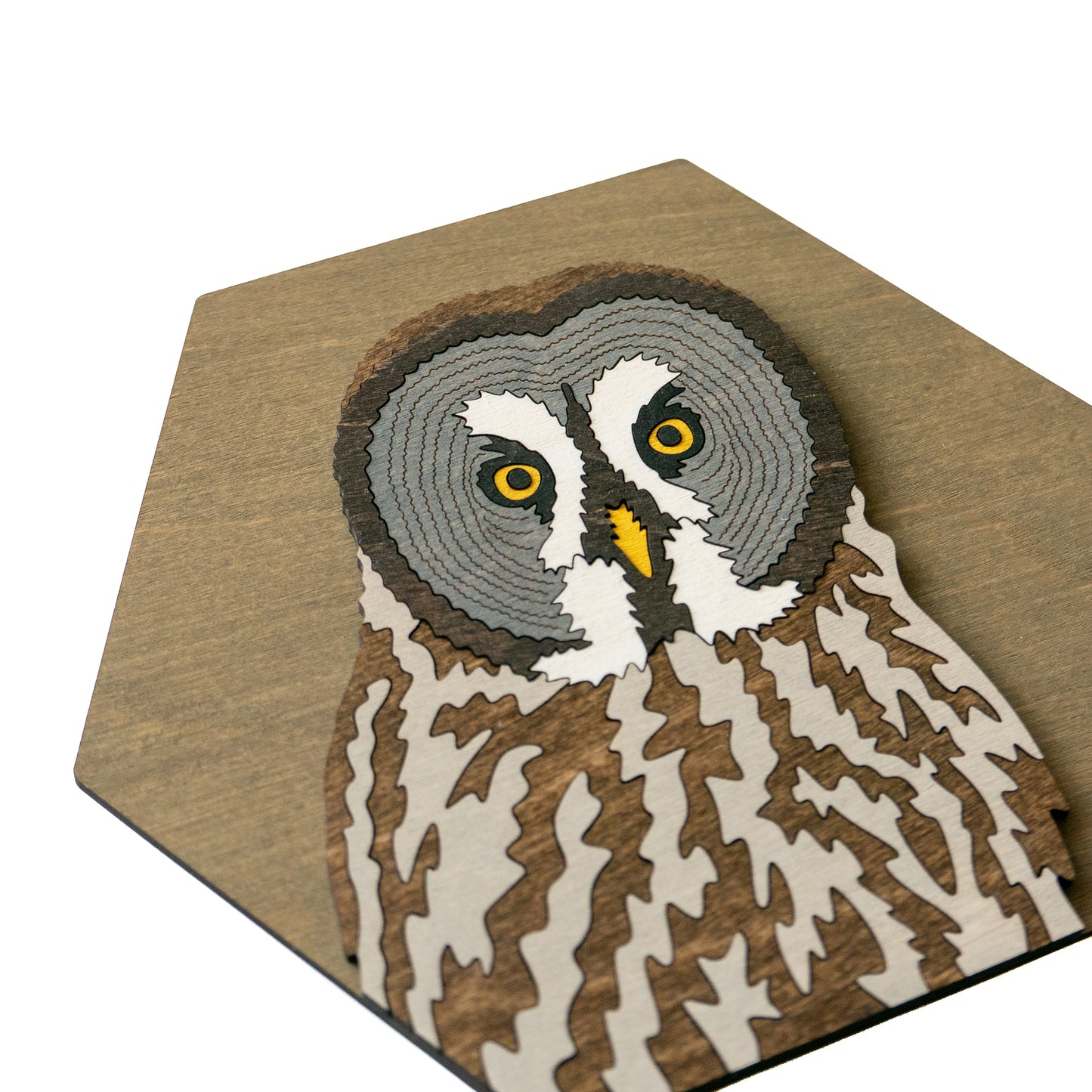 Great Grey Owl Wall Art