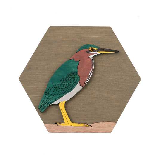 Green Heron Wall Art