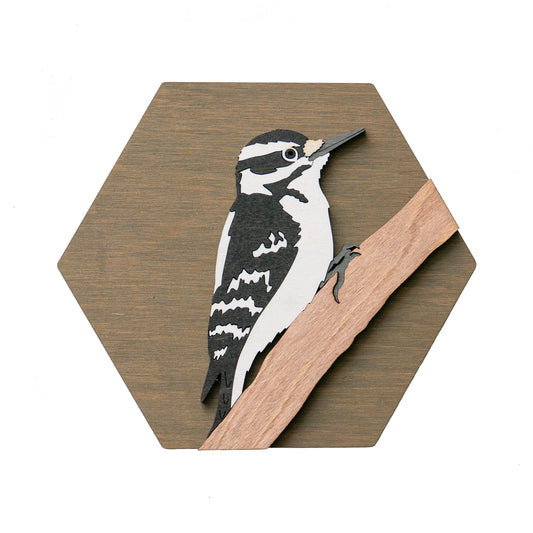 Hairy Woodpecker Wall Art