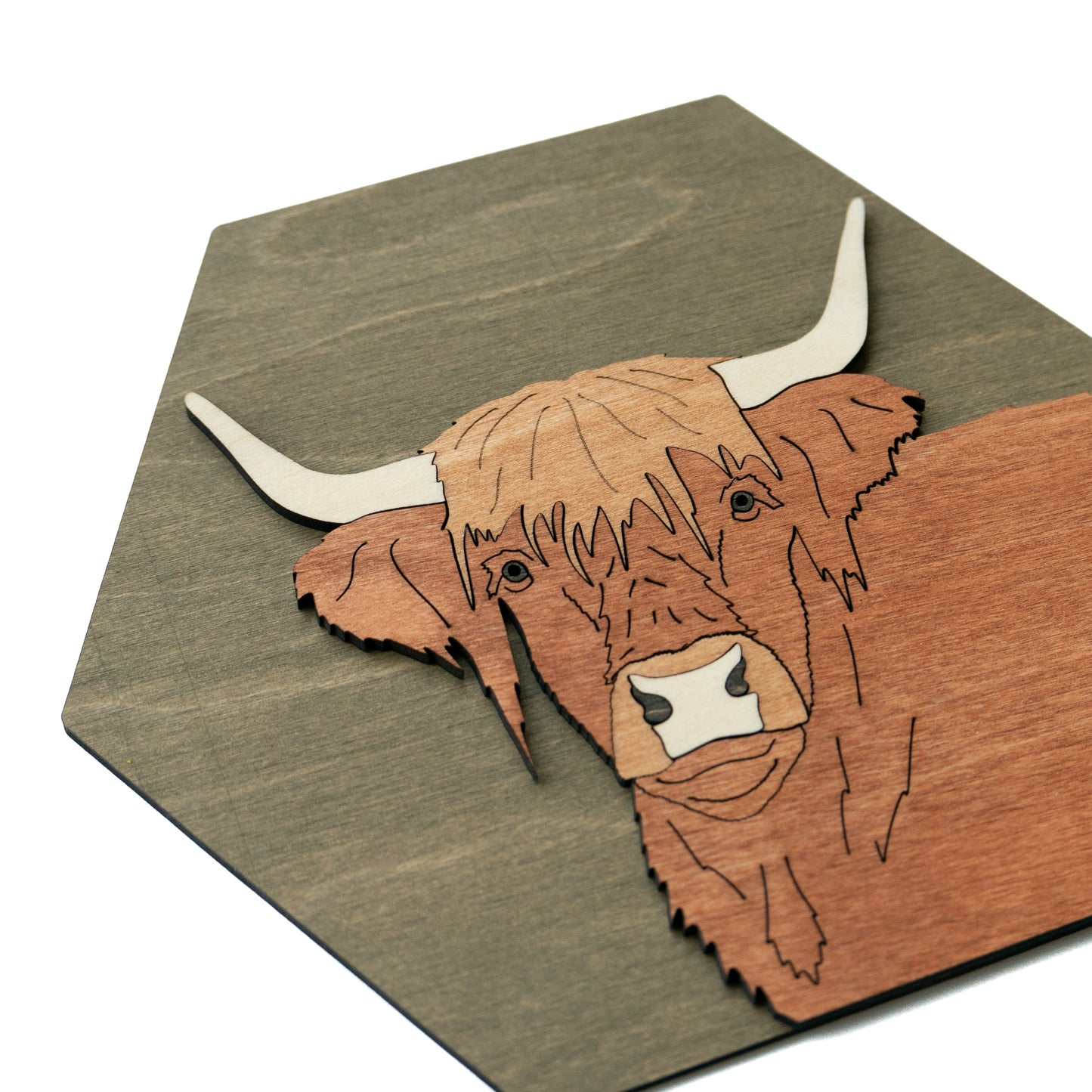 Highland Cow Wall Art