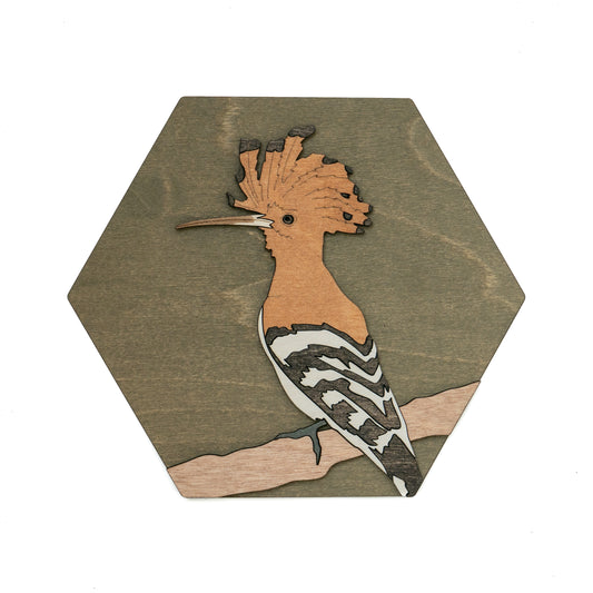 Eurasian Hoopoe Wall Art