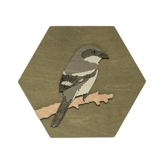 Loggerhead Shrike Wall Art